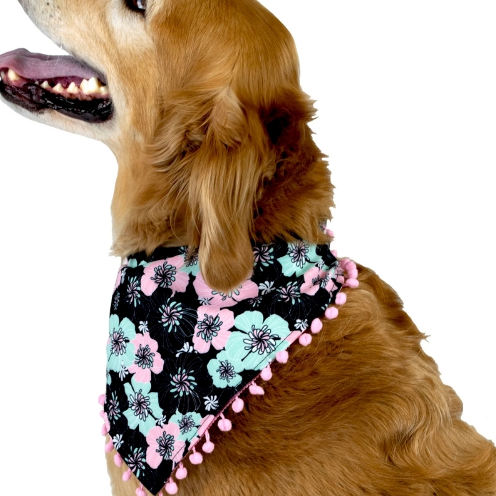❤️10/$13 New floral dog bandana